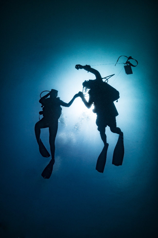 Contact me to start connecting with your customers online (two divers connected through the water)